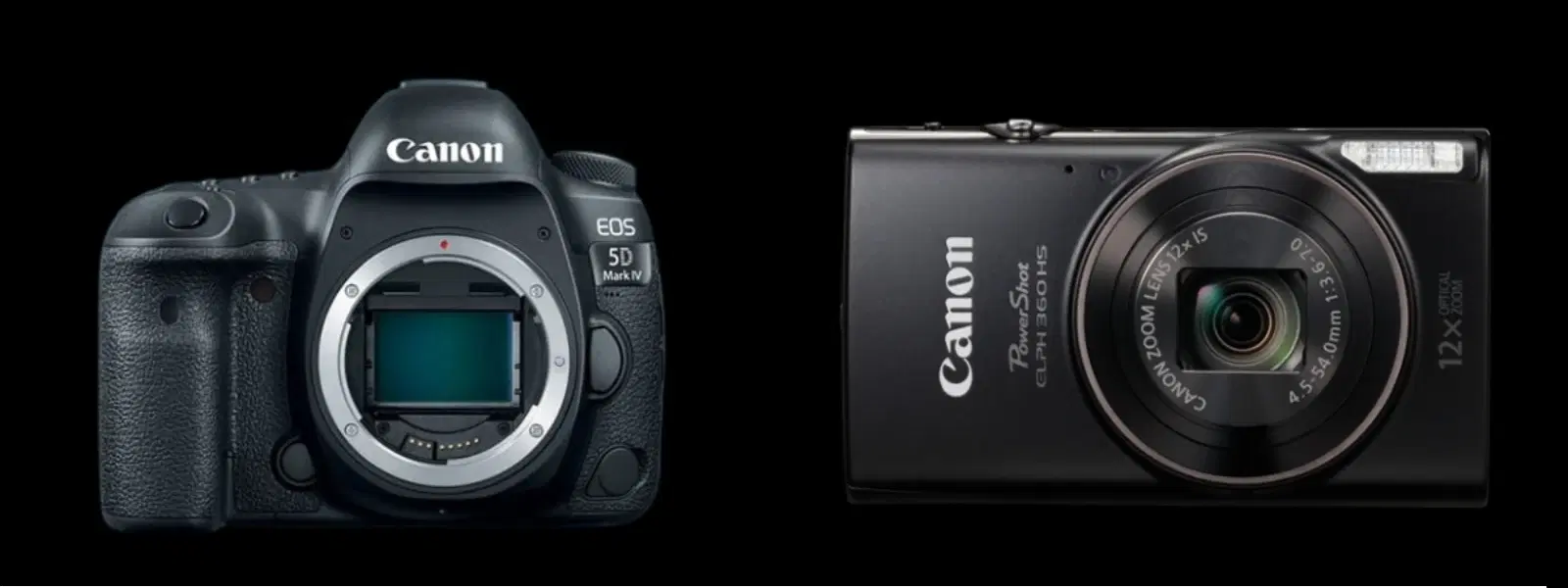 Point and Shoot vs DSLR: Which Camera Is Right for You?