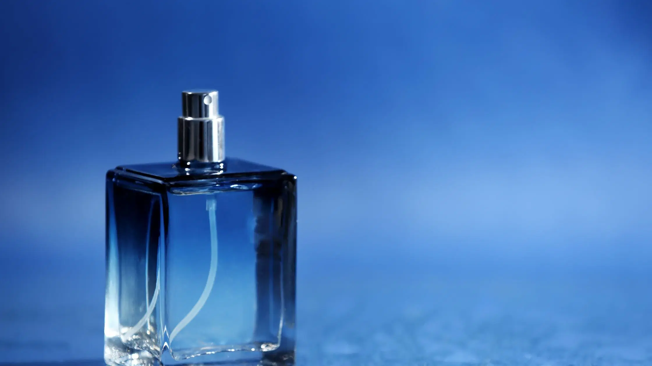 10 Must-Have Affordable Niche Perfumes for Your Collection