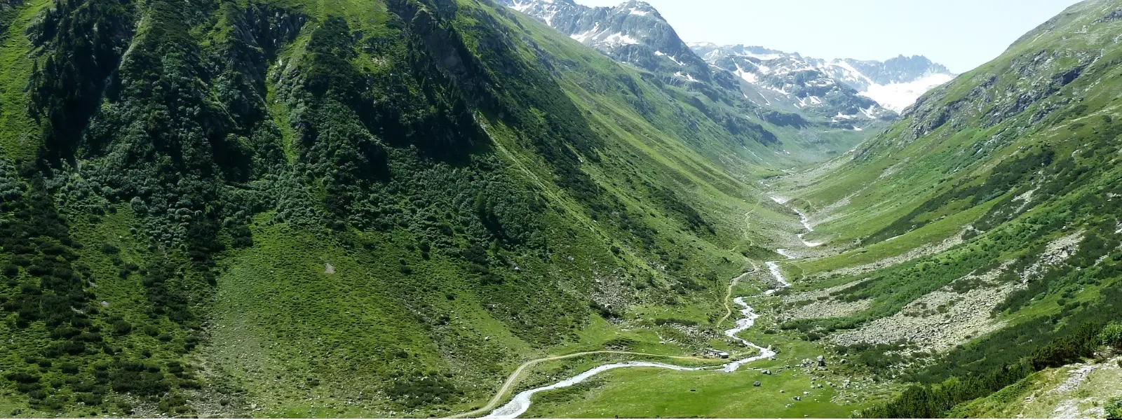 Top 3 Places to Visit in Araku Valley: A Travel Guide